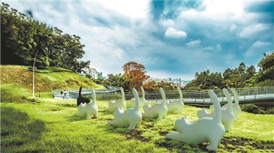 走在云道，看花看展看AR